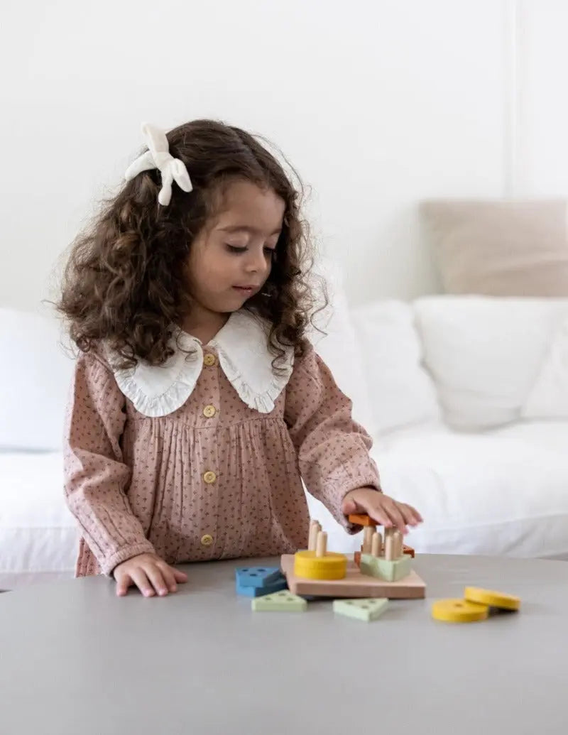Montessori Shape Puzzle Toy | LYTL®️